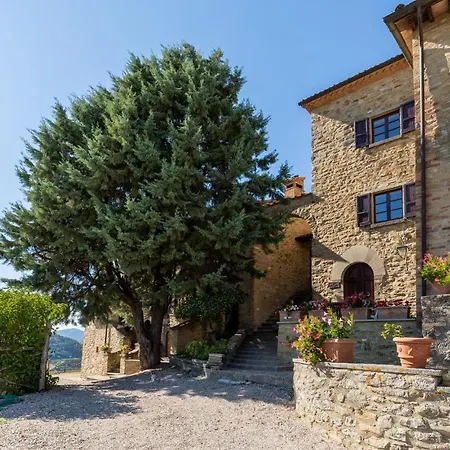 Mandorli Monte Santa Maria Tiberina